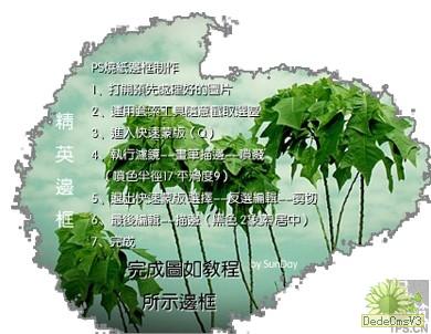 查看更多精彩图片